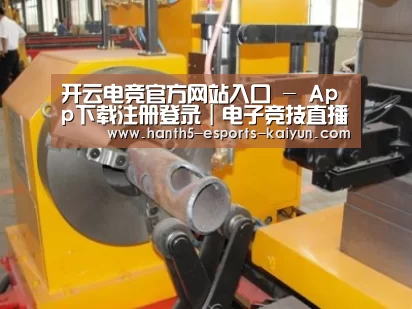 产品名称十三