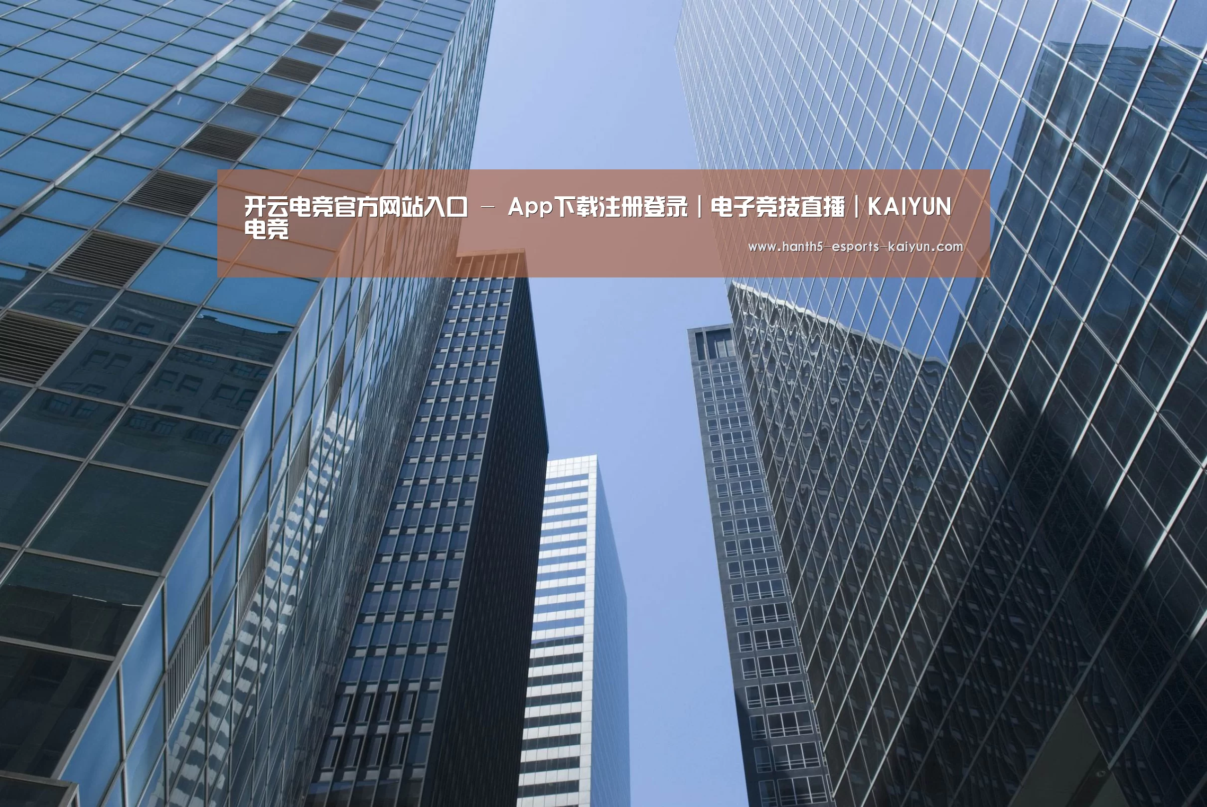 开云电竞公司简介 