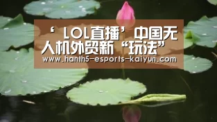 ‘ LOL直播’中国无人机外贸新“玩法”对市场造成强烈冲击(图4) LOL直播