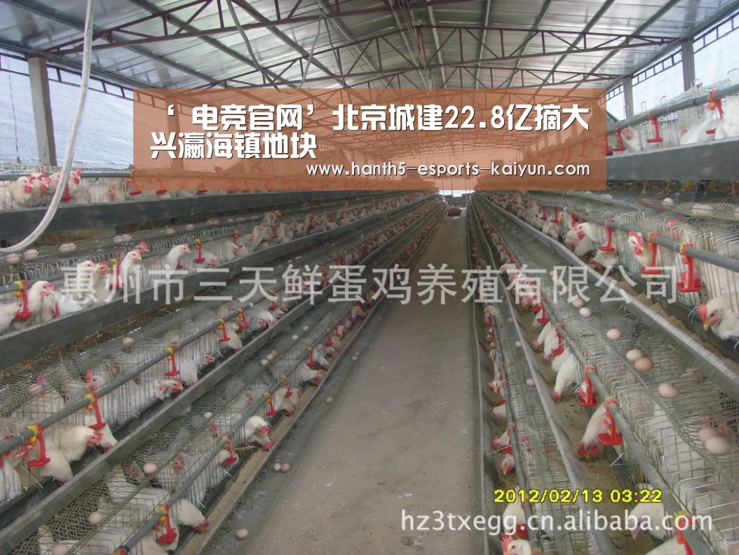 ‘ 电竞官网’北京城建22.8亿摘大兴瀛海镇地块(图3) 开云电竞
