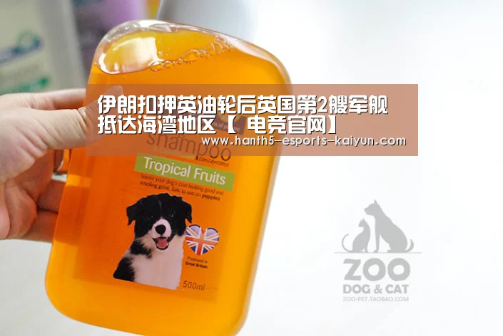 伊朗扣押英油轮后英国第2艘军舰抵达海湾地区【 电竞官网】(图2) LOL直播