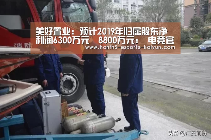 美好置业:预计2019年归属股东净利润6300万元–8800万元: 电竞官网(图3) 开云电竞