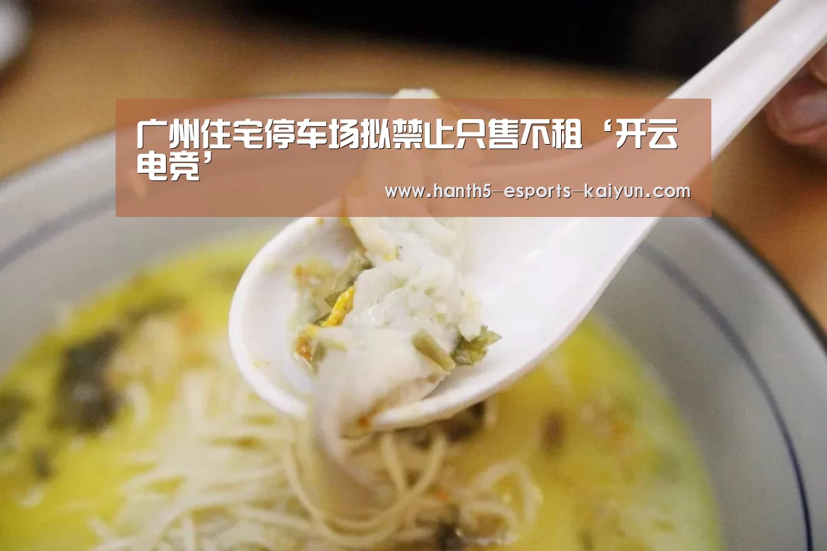 广州住宅停车场拟禁止只售不租‘开云电竞’(图1) LOL直播